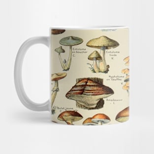 Mushrooms Vintage Botanical Illustration Mug